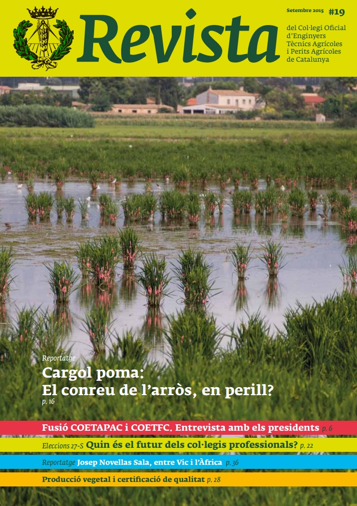 REVISTA NÚM. 19